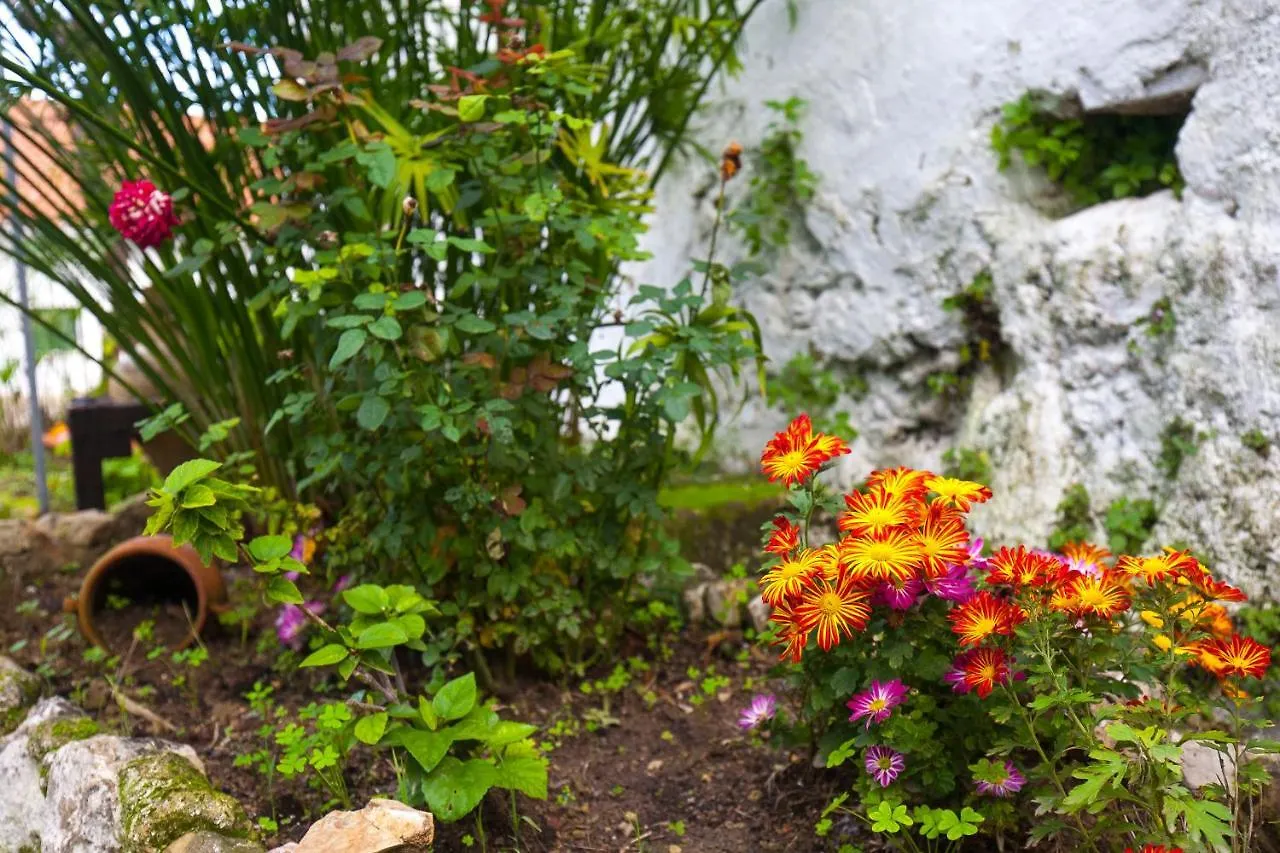 Rekreační dům Hacienda El Molino El Bosque 0*, El Bosque (Cadiz)